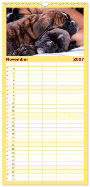 Produktbild: Familienplaner 2027 - Deutscher Boxer 2027 mit 5 Spalten (Wandkalender, 21 x 45 cm) CALVENDO