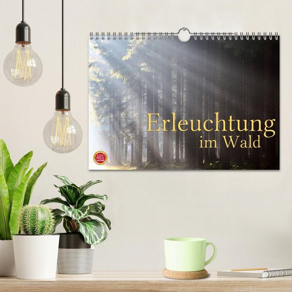Produktbild: Erleuchtung im Wald (Wandkalender 2026 DIN A4 quer), CALVENDO Monatskalender