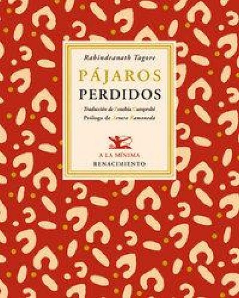 Produktbild: P&aacute;jaros perdidos
