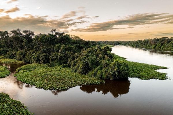 Produktbild: Pantanal