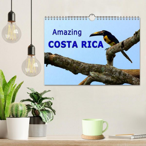 Produktbild: Amazing Costa Rica (Wall Calendar 2026 DIN A4 landscape), CALVENDO 12 Month Wall Calendar