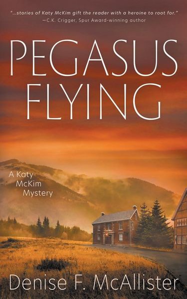 Produktbild: Pegasus Flying