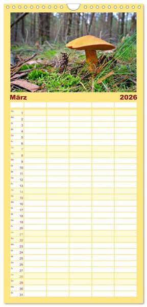 Produktbild: Familienplaner 2026 - Heimische Pilze mit 5 Spalten (Wandkalender, 21 x 45 cm) CALVENDO