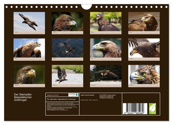 Produktbild: Der Steinadler. Majest&auml;tischer Greifvogel (Wandkalender 2026 DIN A4 quer), CALVENDO Monatskalender