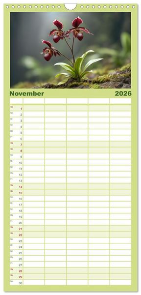 Produktbild: Familienplaner 2026 - Im Schatten der Orchidee mit 5 Spalten (Wandkalender, 21 x 45 cm) CALVENDO