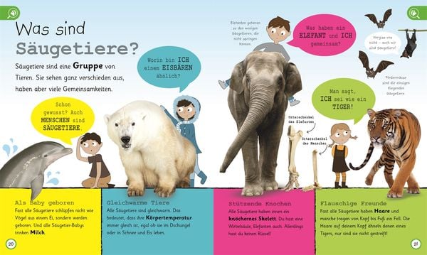 Wissen für Vorschulkids. Was weißt du über Tiere?