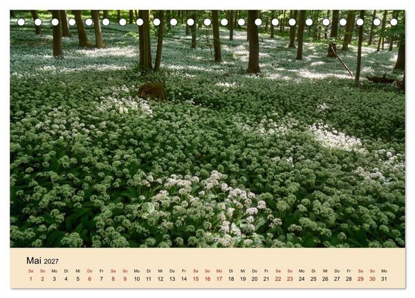 Produktbild: Franken - eine Region voller Naturwunder (Tischkalender 2027 DIN A5 quer), CALVENDO Monatskalender