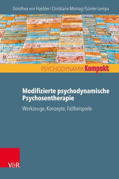 Produktbild: Modifizierte psychodynamische Psychosentherapie