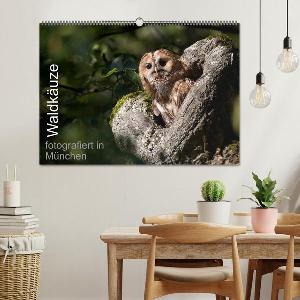 Produktbild: Waldk&auml;uze, fotografiert in M&uuml;nchen (Wandkalender 2026 DIN A2 quer), CALVENDO Monatskalender