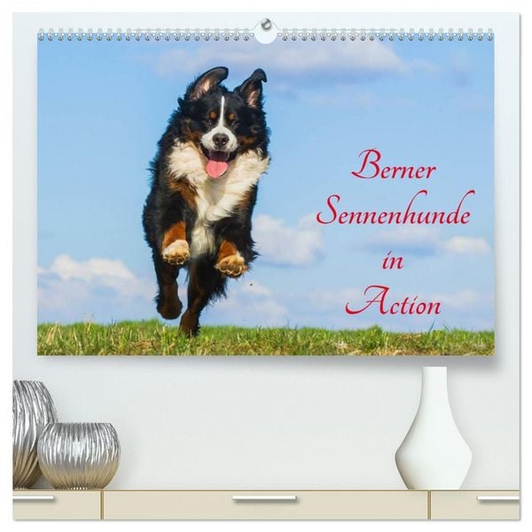 Produktbild: Berner Sennenhunde in Action (hochwertiger Premium Wandkalender 2026 DIN A2 quer), Kunstdruck in Hochglanz