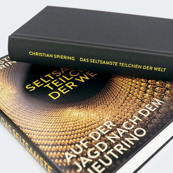 Produktbild: Das seltsamste Teilchen der Welt