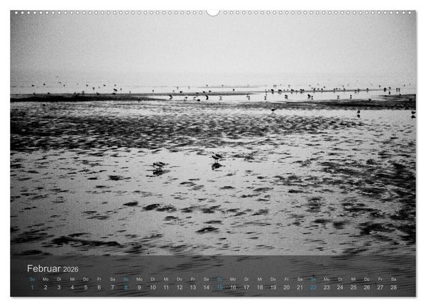 Produktbild: Seest&uuml;cke. Schwarzwei&szlig;e Nordseeimpressionen 2026 (hochwertiger Premium Wandkalender 2026 DIN A2 quer), Kunstdruck in Hochglanz