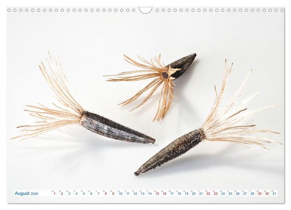 Produktbild: Wundersch&ouml;ne Kleinigkeiten (Wandkalender 2026 DIN A3 quer), CALVENDO Monatskalender