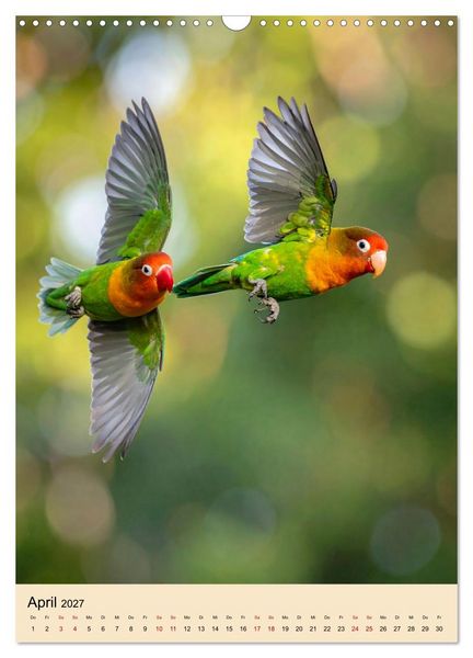 Produktbild: Lovebirds Harmonie (Wandkalender 2027 DIN A3 hoch), CALVENDO Monatskalender