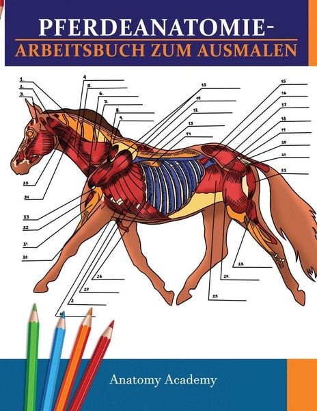 Produktbild: Pferdeanatomie-Arbeitsbuch zum Ausmalen