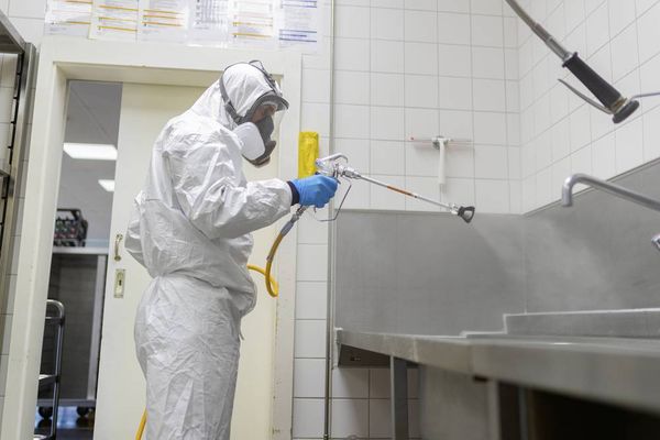 Produktbild: Wagner W 590 Flexio Farbspr&uuml;hsystem 630W F&ouml;rdermenge (max.) 500 ml/min