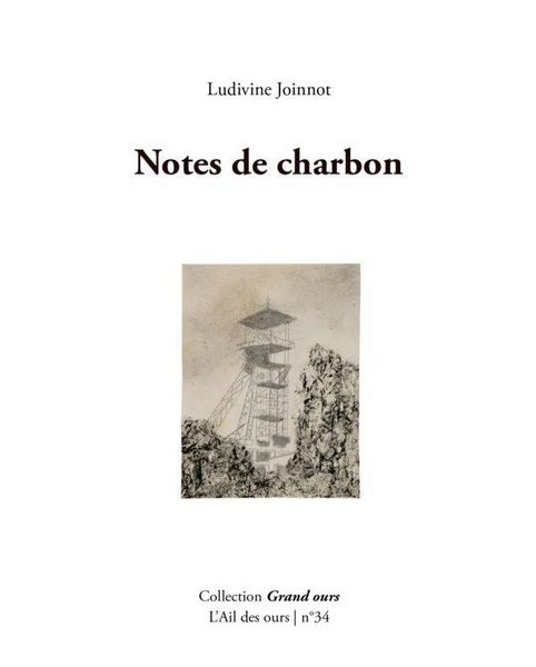 Produktbild: Notes de Charbon