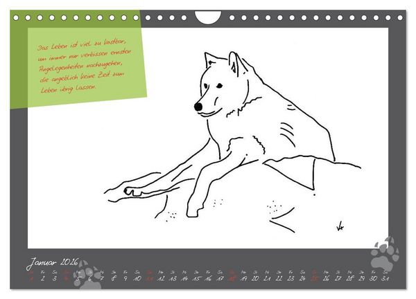 Produktbild: Der kleine GROSSE Wolf - Kalender (Wandkalender 2026 DIN A4 quer), CALVENDO Monatskalender