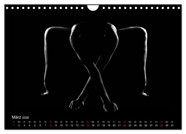 Produktbild: Kunstakt (Wandkalender 2026 DIN A4 quer), CALVENDO Monatskalender