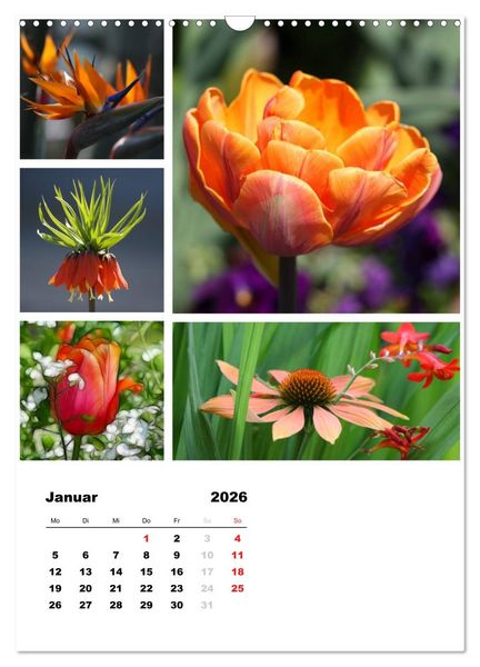 Produktbild: Bl&uuml;ten Collagen (Wandkalender 2026 DIN A3 hoch), CALVENDO Monatskalender