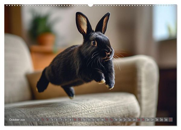Produktbild: A Cuddly Rabbit Life (High Quality Premium Wall Calendar 2026 DIN A2 landscape),CALVENDO 12 Month Wall Calendar