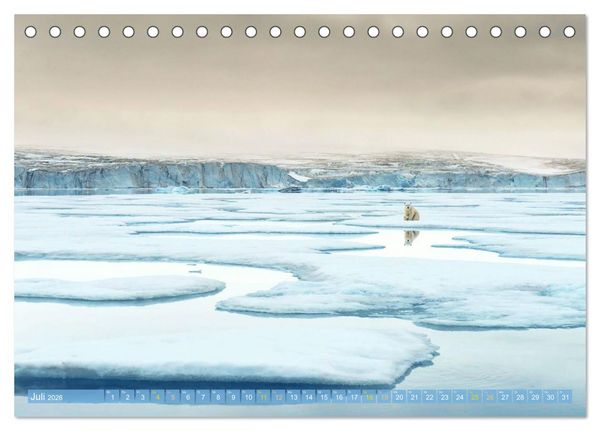 Produktbild: Eisb&auml;ren: Lebensk&uuml;nstler im Eis (Tischkalender 2026 DIN A5 quer), CALVENDO Monatskalender