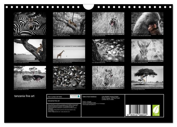 Produktbild: tanzania fine art (Wall Calendar 2026 DIN A4 landscape), CALVENDO 12 Month Wall Calendar