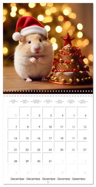 Produktbild: Sweet HAMSTERS (Wall Calendar 2026 12 &times; 12 Inch) CALVENDO 12 Month Wall Calendar