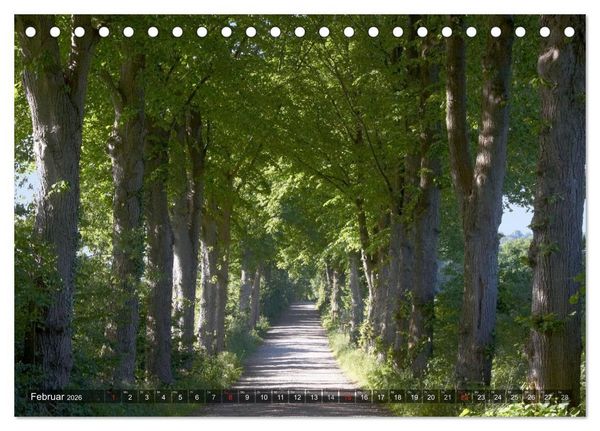 Produktbild: Naturpark Holsteinische Schweiz (Tischkalender 2026 DIN A5 quer), CALVENDO Monatskalender