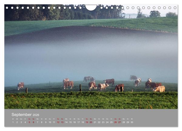 Produktbild: Hallertau (Wandkalender 2026 DIN A4 quer), CALVENDO Monatskalender