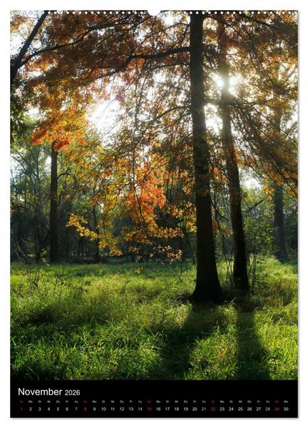 Produktbild: Wunderbarer Spreewald (hochwertiger Premium Wandkalender 2026 DIN A2 hoch), Kunstdruck in Hochglanz