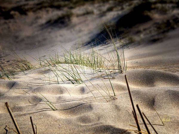 Produktbild: CALVENDO Puzzle Nordsee-D&uuml;nen | 1000 Teile Lege-Gr&ouml;&szlig;e 64x48cm Foto-Puzzle f&uuml;r gl&uuml;ckliche Stunden