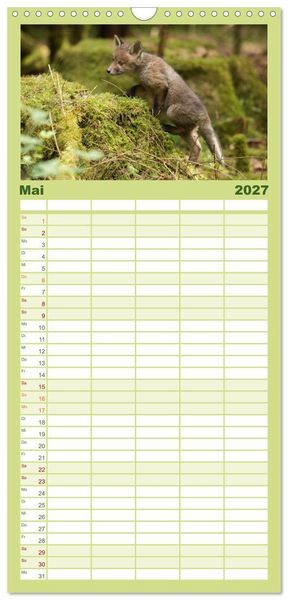 Produktbild: Familienplaner 2027 - Bei den Jungf&uuml;chsen mit 5 Spalten (Wandkalender, 21 x 45 cm) CALVENDO