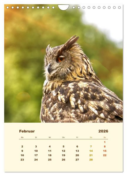 Produktbild: Uhu, die Faszination bernsteinfarbener Augen (Wandkalender 2026 DIN A4 hoch), CALVENDO Monatskalender