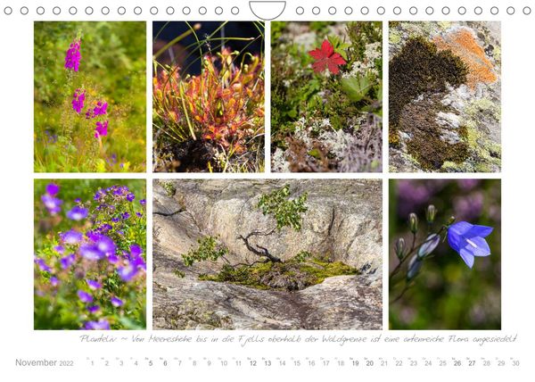 Produktbild: Sehnsucht Norwegen - Meer, Wasserf&auml;lle, Fjorde und Fjells - Der S&uuml;dwesten (Wandkalender 2022 DIN A4 quer)