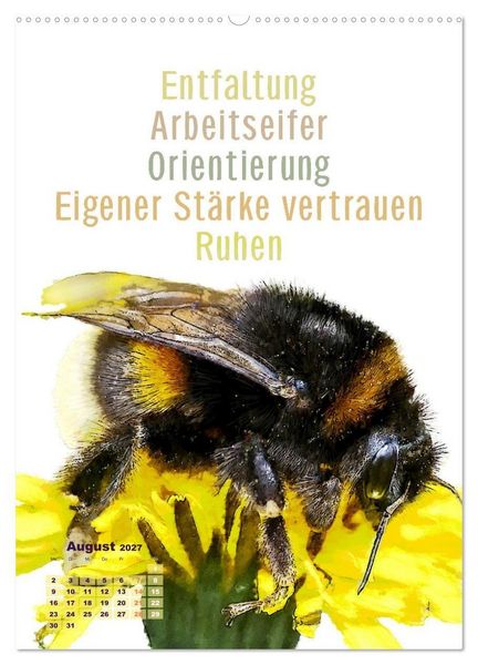 Produktbild: Krafttiere - Inspirierende Begleiter voller Magie und Seele (hochwertiger Premium Wandkalender 2027 DIN A2 hoch), Kunstdruck in Hochglanz
