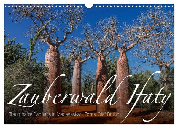 Zauberwald Ifaty · Traumhafte Baobabs in Madagaskar (Wandkalender 2026 DIN A3 quer), CALVENDO Monatskalender