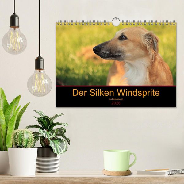 Produktbild: Der Silken Windsprite - ein Seelenhund (Wandkalender 2026 DIN A4 quer), CALVENDO Monatskalender