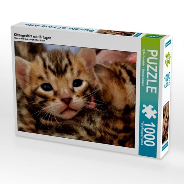 CALVENDO Puzzle Kittengesicht mit 18 Tagen | 1000 Teile Lege-Größe 64x48cm Foto-Puzzle für glückliche Stunden