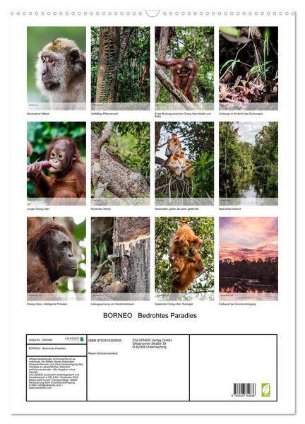 Produktbild: BORNEO Bedrohtes Paradies (Wandkalender 2026 DIN A2 hoch), CALVENDO Monatskalender