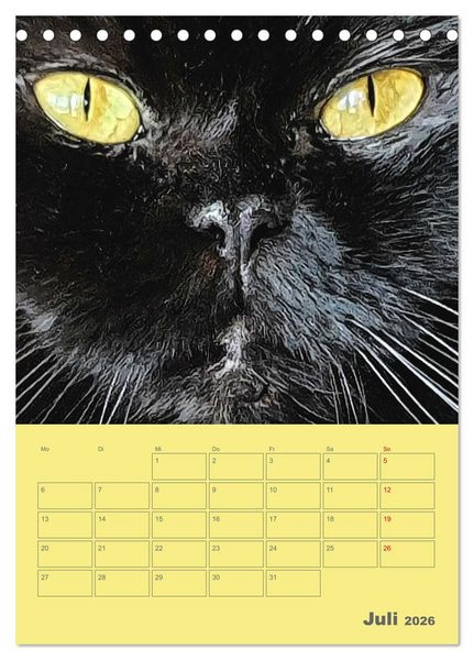 Produktbild: Cat Faces - Charakterstarke Katzengesichter ganz nah (Tischkalender 2026 DIN A5 hoch), CALVENDO Monatskalender
