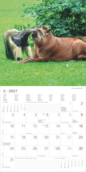 Produktbild: Tierfreundschaften 2027