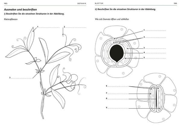 Produktbild: Botanik