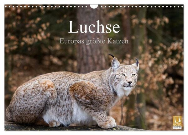 Produktbild: Luchse - Europas gr&ouml;&szlig;te Katzen (Wandkalender 2026 DIN A3 quer), CALVENDO Monatskalender