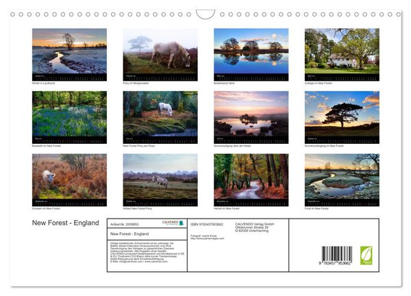Produktbild: New Forest - England (Wandkalender 2026 DIN A3 quer), CALVENDO Monatskalender