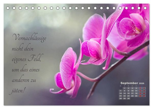 Produktbild: Chinesische Weisheiten (Tischkalender 2026 DIN A5 quer), CALVENDO Monatskalender