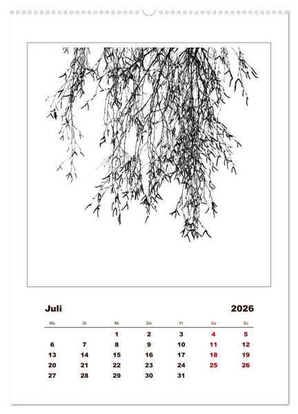 Produktbild: LignoGrafica - Muster und Strukturen der B&auml;ume (Wandkalender 2026 DIN A2 hoch), CALVENDO Monatskalender