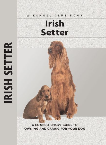 Produktbild: Irish Setter