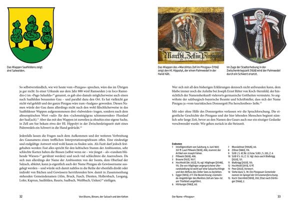 Produktbild: Geschichte des Pinzgaus
