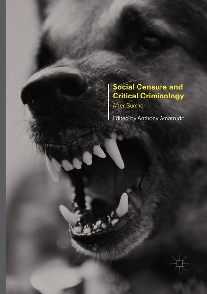 Produktbild: Social Censure and Critical Criminology